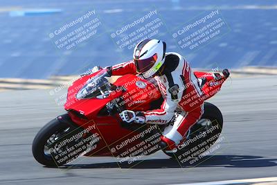 media/May-14-2022-SoCal Trackdays (Sat) [[7b6169074d]]/Turn 11 Inside Pans (935am)/